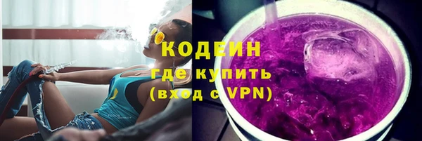 мдпв Горнозаводск