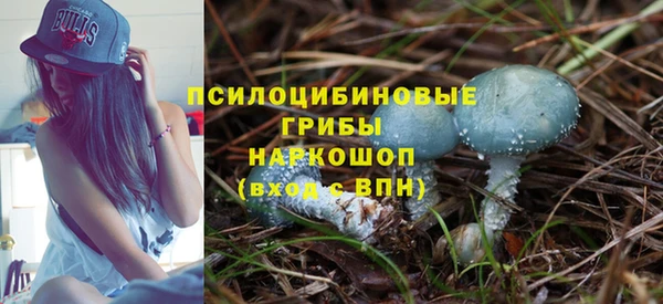 мескалин Горняк