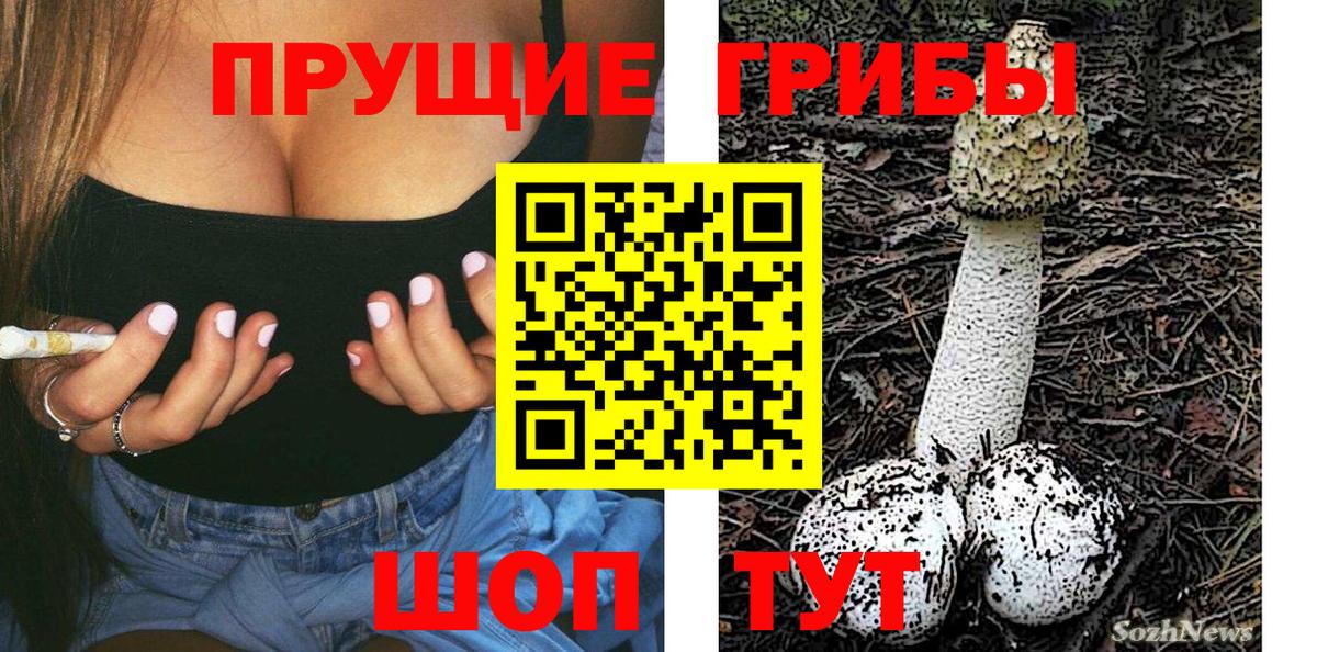 Галлюциногенные грибы ЛСД Вятские Поляны