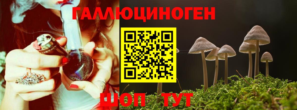 Галлюциногенные грибы GOLDEN TEACHER  где купить   Галлюциногенные грибы Magic Shrooms  Вятские Поляны 