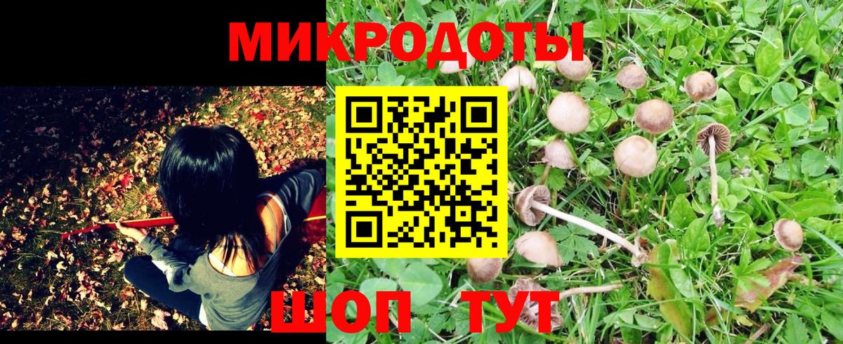 Вятские Поляны  что такое наркотик  Галлюциногенные грибы мухоморы  Вход с VPN  Галлюциногенные грибы мухоморы 