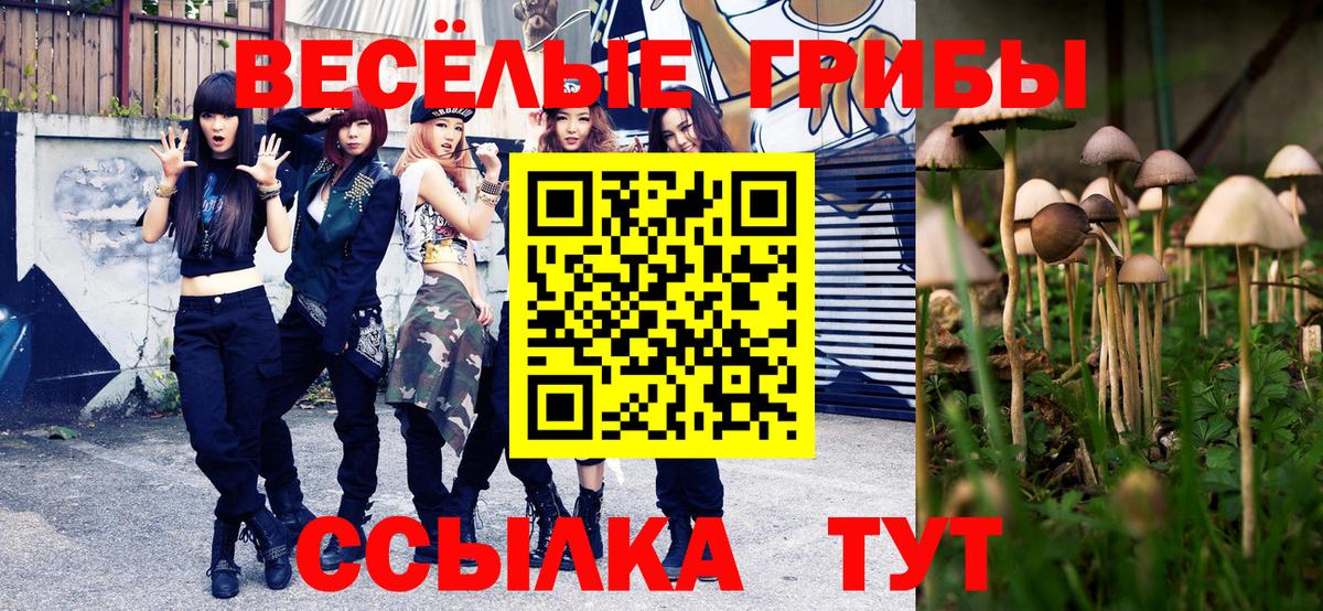 Галлюциногенные грибы мухоморы Вятские Поляны