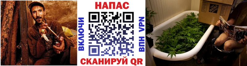 МАРИХУАНА планчик  omg tor  Вятские Поляны 