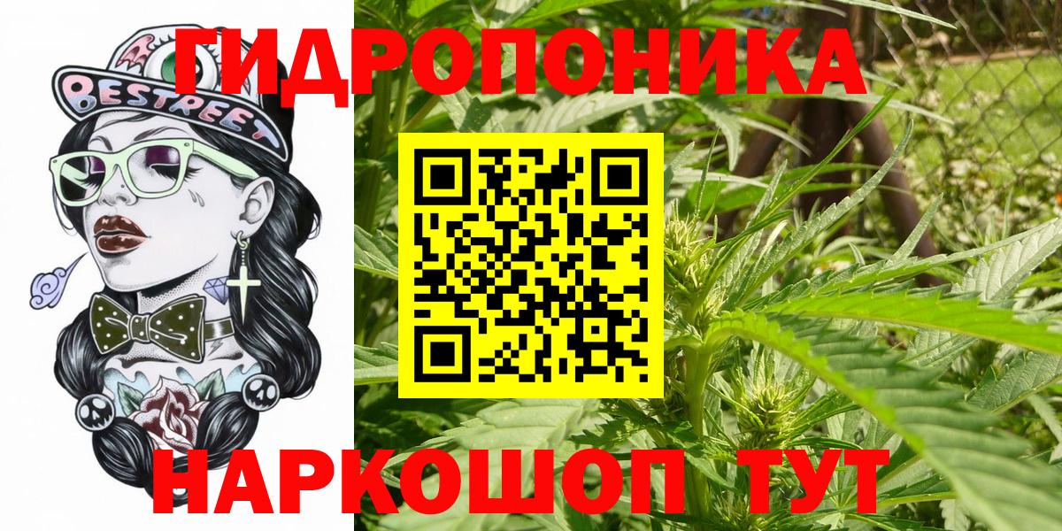 Вятские Поляны  Каннабис гибрид  Вход с VPN  Бошки марихуана семена  Каннабис индика  Бошки марихуана планчик 